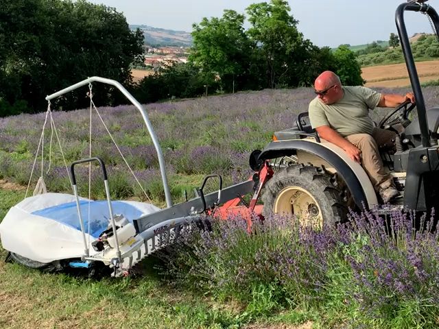 Tractor mount curved harvesting machine for lavender