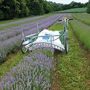 EazyCurve lavendel oogstmachine