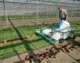 lettuce harvesting machine